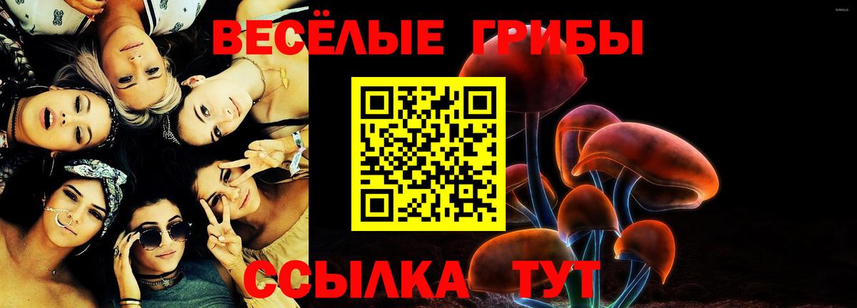 Галлюциногенные грибы прущие грибы  Вход с VPN  Ачхой-Мартан 